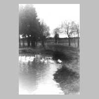 074-0018 Ein kleiner Teich an dem Weg vom Gut nach Pettkuhnen.jpg